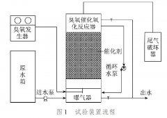 臭氧催化試驗(yàn)裝置處理焦化廢水的效果分析