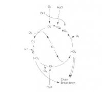 臭氧分解化學(xué)