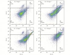 不同臭氧濃度對(duì)BAC中微生物的影響
