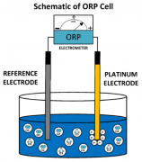 使用 ORP 計(jì)測量水中的臭氧