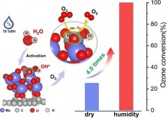 高濕度環(huán)境下臭氧在氧化鉬/石墨炔納米墻快速分解